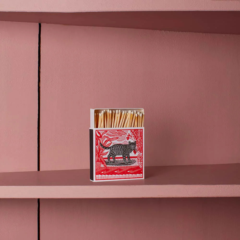 СПИЧКИ Sasha The Cat