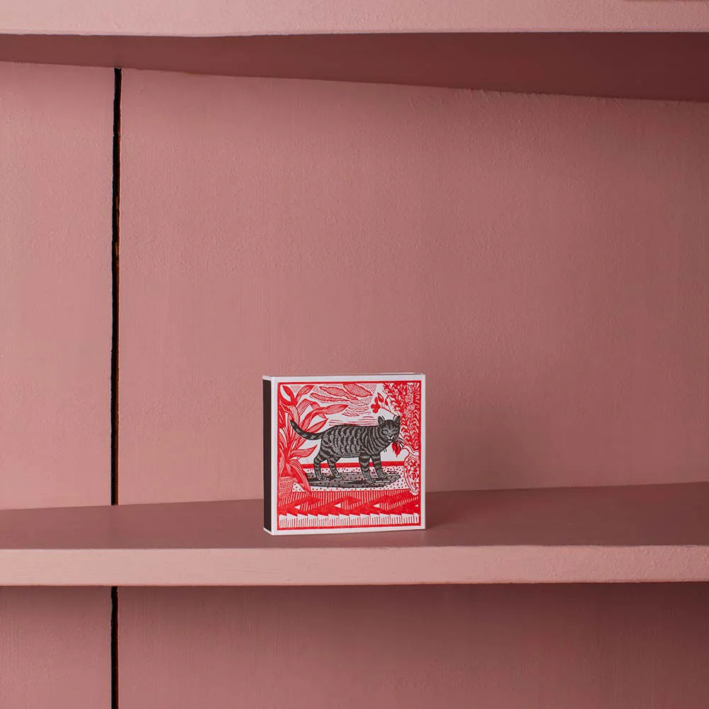 СПИЧКИ Sasha The Cat