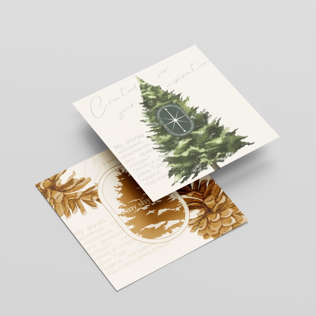 Подарочный пакет My Shyraq новогодний